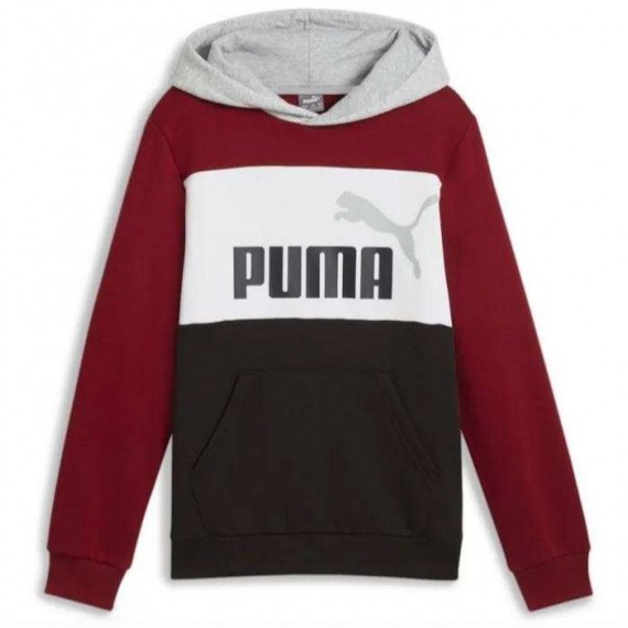 SUDADERA JUNIOR PUMA ESS BLOCK Hoodie FL B 