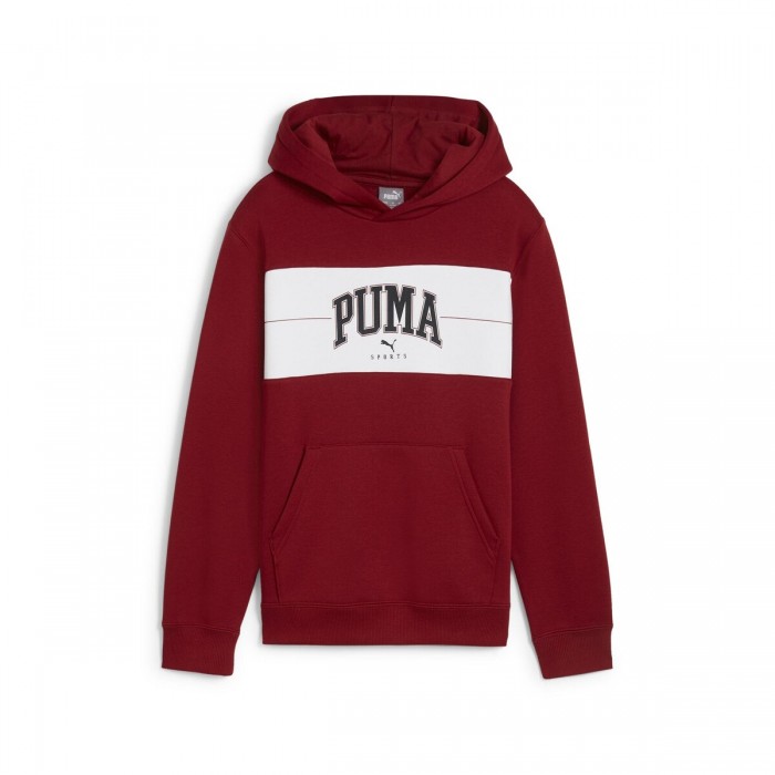 SUDADERA HOMBRE PUMA PUMA SQUAD Hoodie FL 