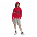 SUDADERA JUNIOR ADIDAS J BL FT HD 280 